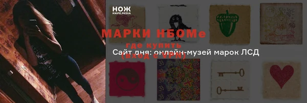 дживик Зерноград