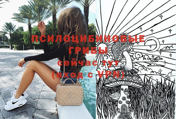 синтетический гашиш Сосновоборск