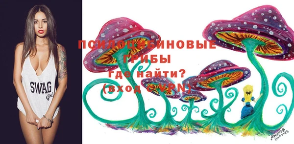 a pvp Заволжск