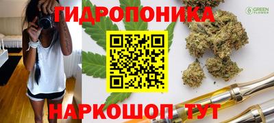 прущие грибы Донской