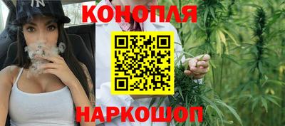 прущие грибы Донской