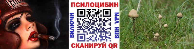 Псилоцибиновые грибы Cubensis  цена наркотик  Свободный 