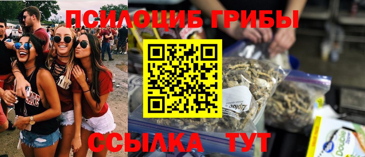 как найти   Вход с VPN  Псилоцибиновые грибы MAGIC MUSHROOMS  Свободный  Псилоцибиновые грибы Psilocybine cubensis 